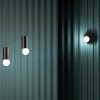 Бра CHORS Firefly K 26.2101.78C.002 alt_image