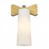 alt_imageБра COSMOLight BOW W01176BR