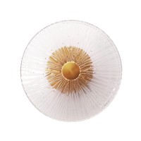 Бра MaxLight Allure W0356