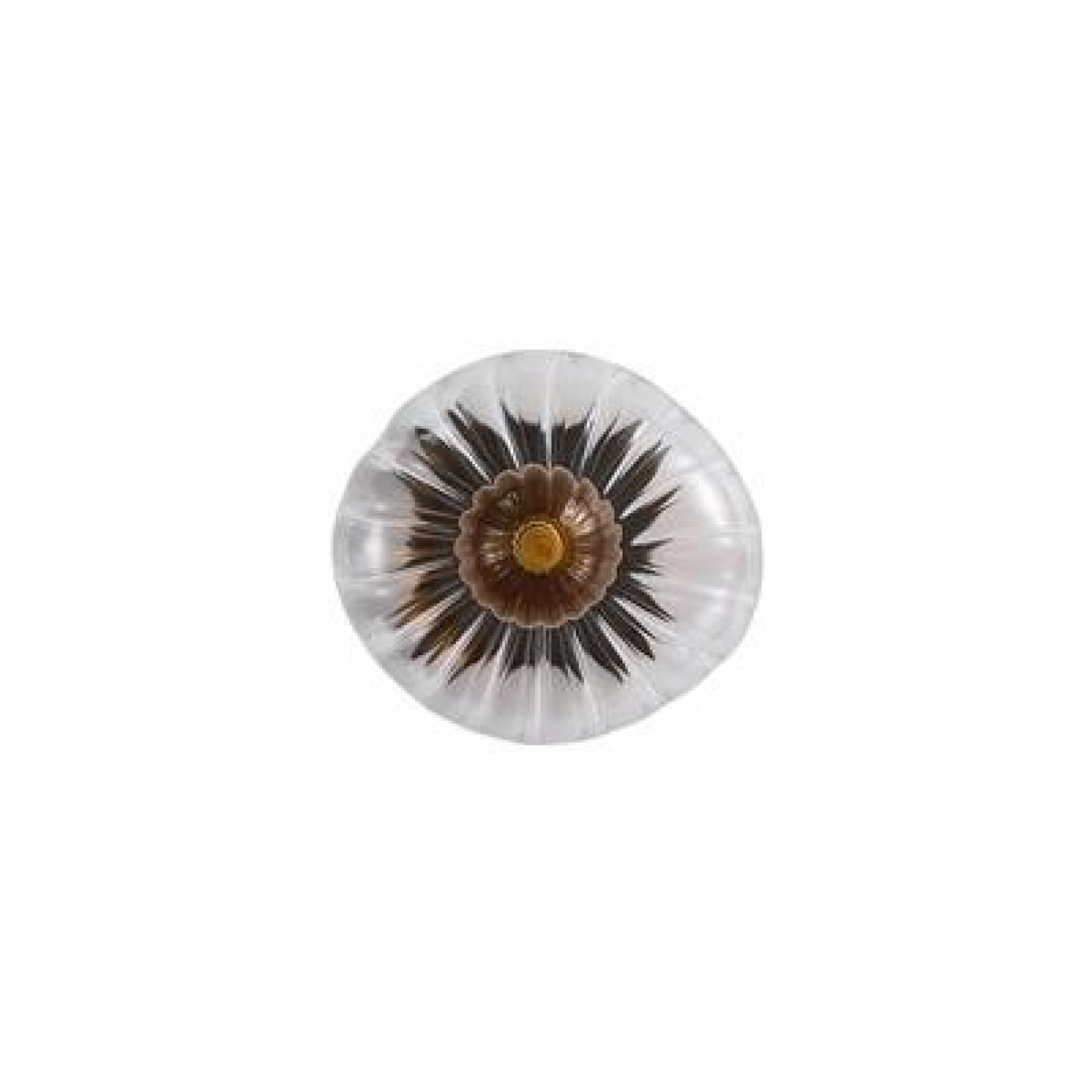Бра SearchLight Sunbeam 24122-1BK