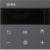 alt_imageЕлектрофурнітура Gira Дисплей термостата BT S3000 System 55. 539428