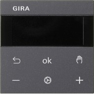Электрофурнитура Gira Дисплей термостата BT S3000 System 55. 539428