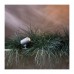 Ґрунтовий світильник Astro Bayville Spike Spot 1401022