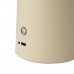 Настольная лампа DFTP Faye 2420155009