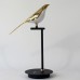 Настольная лампа Friendlylight Bird TL-1 FL8024