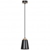 alt_imageПодвесной светильник  EMIBIG Lighting BLOREO 1 BLACK 442/1