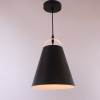 alt_imageПідвісний світильник Friendlylight Fafel M Black FL3198