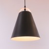 Підвісний світильник Friendlylight Fafel M Black FL3198 alt_image