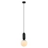 Подвесной светильник Italux Aldeva PND-02340-1S-BK alt_image