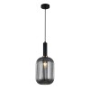 Подвесной светильник Italux Antiola PND-5588-1L-BK+SG alt_image