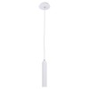 alt_imageПодвесной светильник Italux Athan FH31141-BJ-WHT