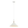 Подвесной светильник Italux Drello PND-541101-W alt_image