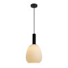 Подвесной светильник Italux Gater PND-23541-1-BK-OP alt_image
