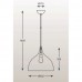 Підвісний світильник Zuma Line MARCO TS-101015P-BKGO