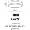 Потолочный светильник AZzardo KARI 22 MATT BLACK AZ4257 alt_image