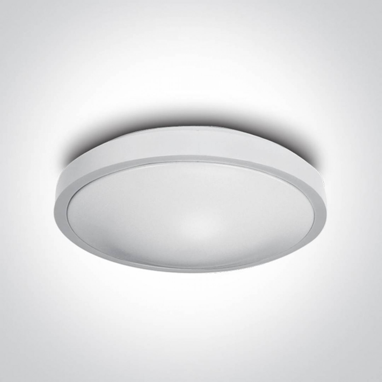 alt_image Потолочный светильник ONE Light LED Circular Plafo Metal + PC 62018A/W