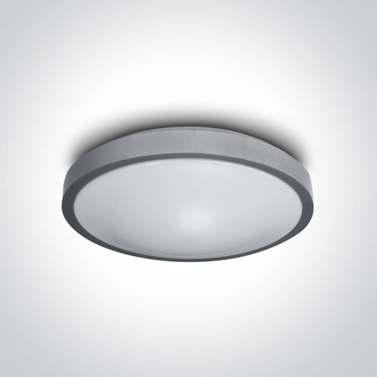 alt_image Потолочный светильник ONE Light LED Circular Plafo Metal + PC 62018/G