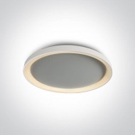 Потолочный светильник ONE Light The LED Decorative Plafo 62148L/W/W