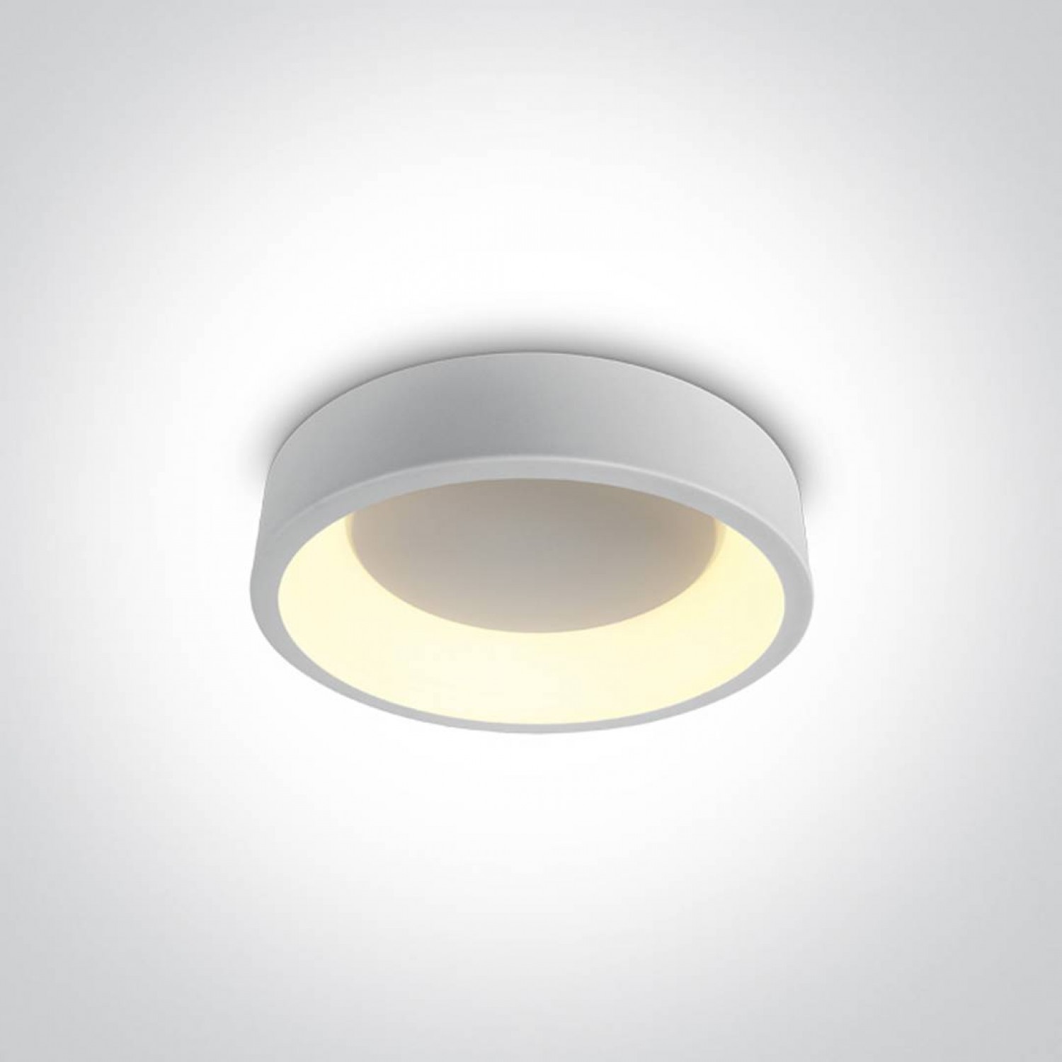alt_image Потолочный светильник ONE Light The LED Decorative Plafo Round 62130N/W/W