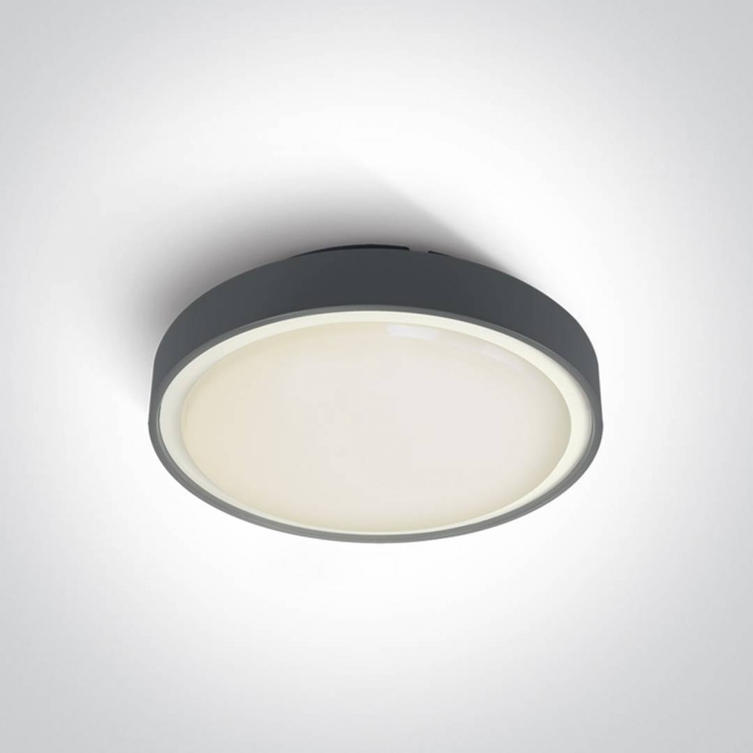 alt_image Світильник ONE Light The LED Plafo Outdoor Round 67280AN/AN/W