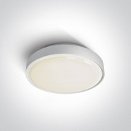 Потолочный светильник ONE Light The LED Plafo Outdoor Round 67280AN/W/C