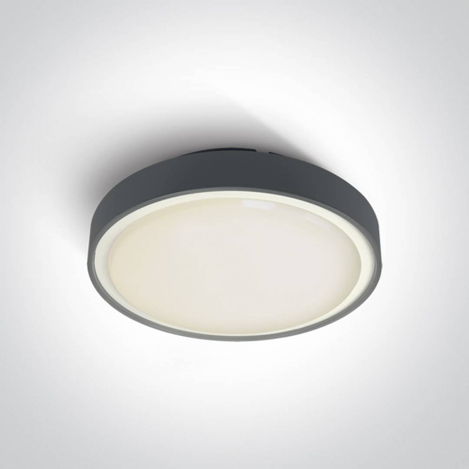 alt_image Світильник ONE Light The LED Plafo Outdoor Round 67280BN/AN/W