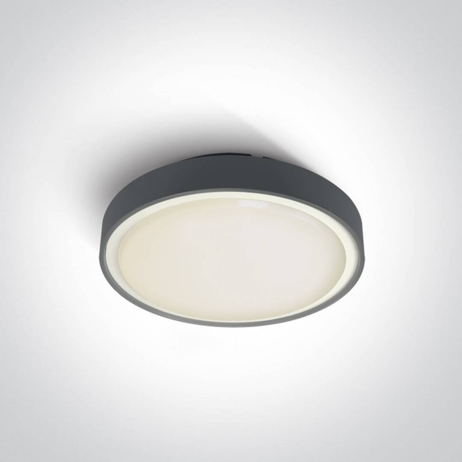 alt_image Світильник ONE Light The LED Plafo Outdoor Round 67280N/AN/W