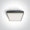 alt_imageПотолочный светильник ONE Light The LED Plafo Outdoor Square Plastic 67282N/AN/W