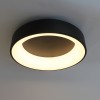 Потолочный светильник Friendlylight  Rim 45 LED 3000K Black FL2091 alt_image
