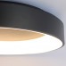 Потолочный светильник Friendlylight  Rim 60 LED 3000K Black FL2095