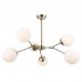 Потолочный светильник Italux Annes PND-56980-6C