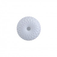 Потолочный светильник Italux Auris PLF-53749-S-CL