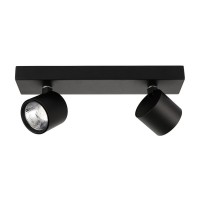 Потолочный светильник Italux Boniva SPL-2854-2B-BL
