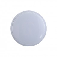Потолочный светильник Italux Borla PLF-63748-M-CL