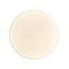 Потолочный светильник Italux Borla PLF-63748-M-CL alt_image