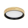 alt_imageПотолочный светильник Italux Campelo PLF-4350-25W-WD-BK-4K
