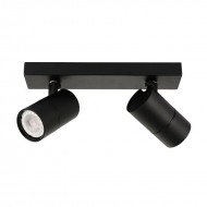 Потолочный светильник Italux Laconi SPL-2813-2B-BL