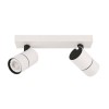 alt_imageПотолочный светильник Italux Laconi SPL-2813-2B-WH