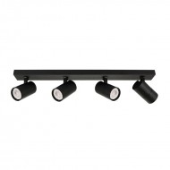 Потолочный светильник Italux Laconi SPL-2813-4B-BL