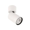 alt_imageПотолочный светильник Italux Laconi SPL-2846-1SC-WH