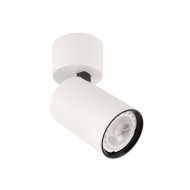 Потолочный светильник Italux Laconi SPL-2846-1SC-WH