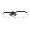 alt_imageПотолочный светильник Italux Maver SPL-20452-2-BK