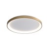alt_imageПотолочный светильник Italux Raden CLN-3151-S-GD