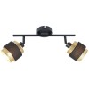 alt_imageПотолочный светильник Italux Renez SPL-95820-2