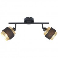 Потолочный светильник Italux Renez SPL-95820-2