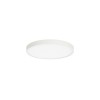 Потолочный светильник Italux Riberio PLF-75689-WH-3K alt_image