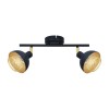 alt_imageПотолочный светильник Italux Savio SPL-27357-2-BK-GD