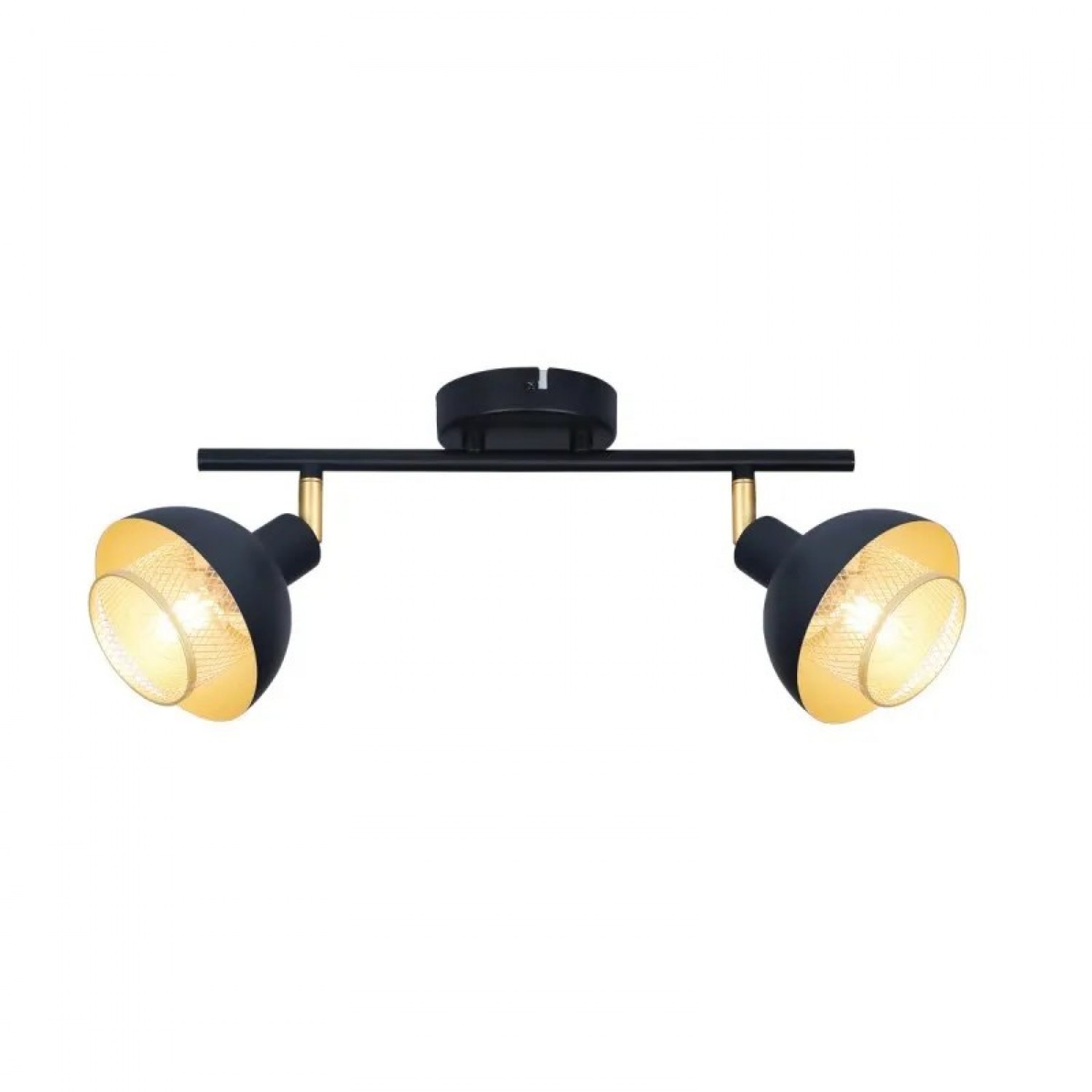 Потолочный светильник Italux Savio SPL-27357-2-BK-GD
