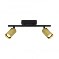 Потолочный светильник Italux Tris SPL-46829-2-BK-GD