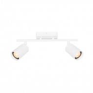Потолочный светильник Italux Tris SPL-46829-2-WH